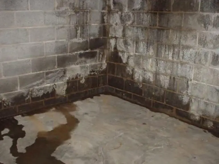 Most Convenient Way to Get Rid Of Dampness in Basement