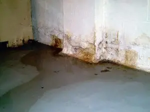 How To Spot Cracks Around Your Home Early