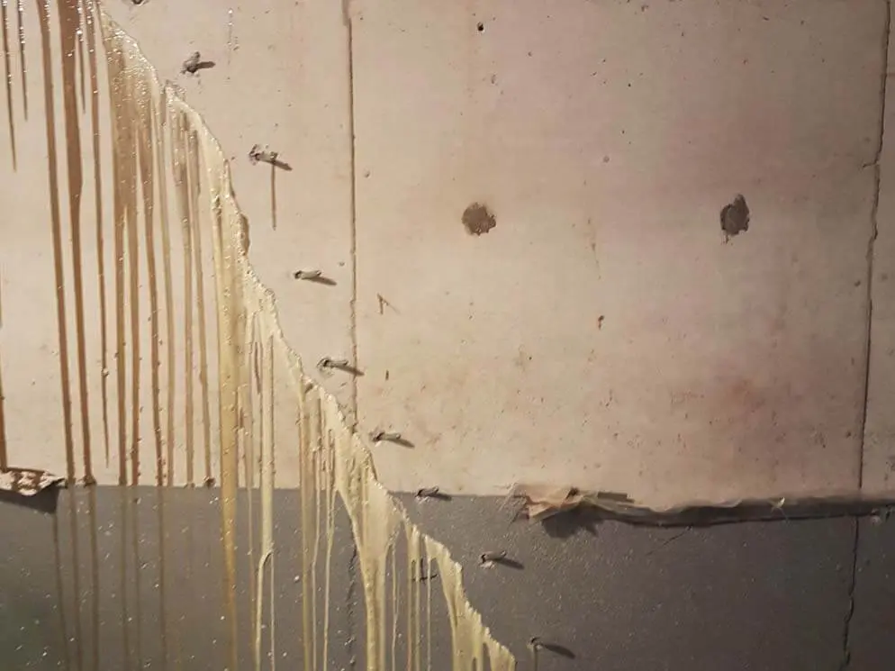 Polyurethane crack injection