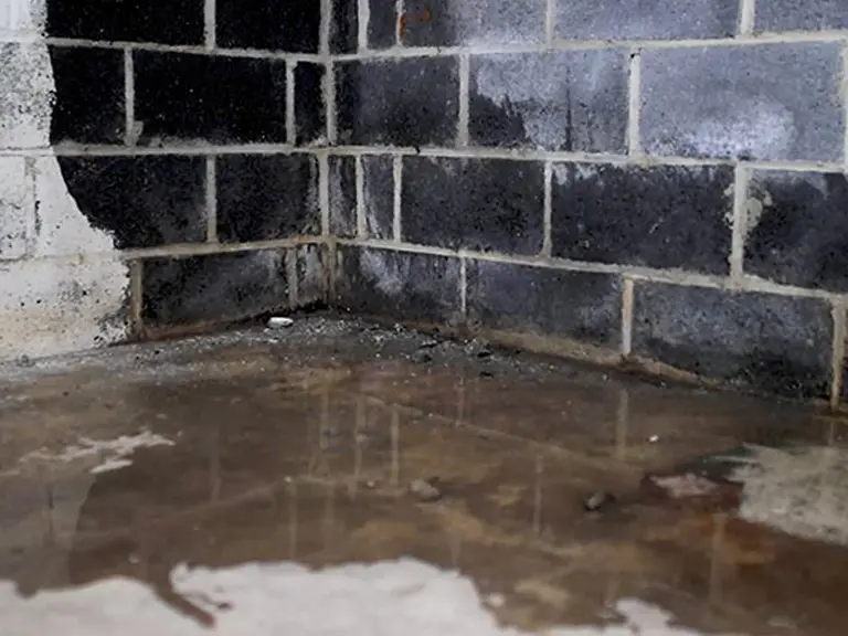 Basement Waterproofing Methods You Should Know About
