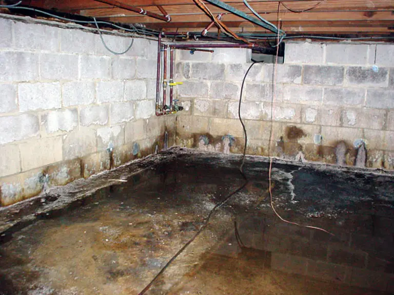 A Useful Guide to Getting Rid of Musty Basement Smells