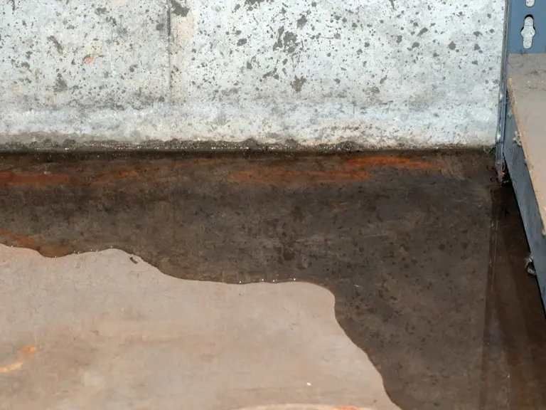 leaked basement